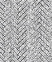  Тротуарная плитка Выбор Паркет Б.4.П.6 Стоунмикс Белый с черным: внешний вид